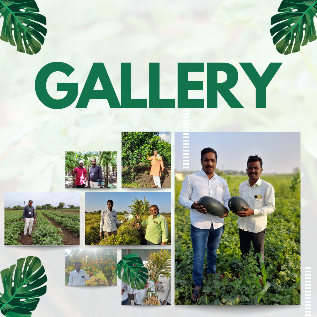 Images - Purvi Agro Industry