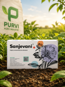 Sanjeevani